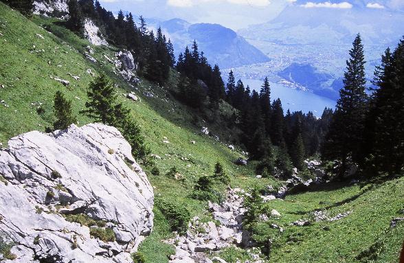 Lake Lucern 1