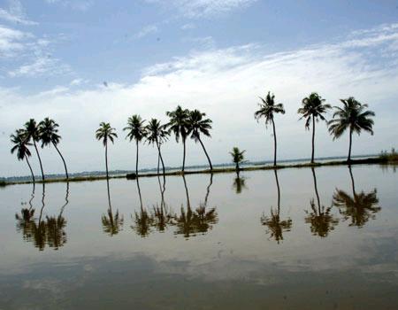 Monsoon in Kerala 2