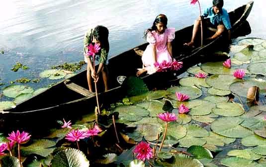 Monsoon in Kerala 6