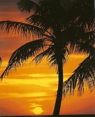Sunset in Bahama