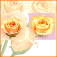 For A Special Friend...